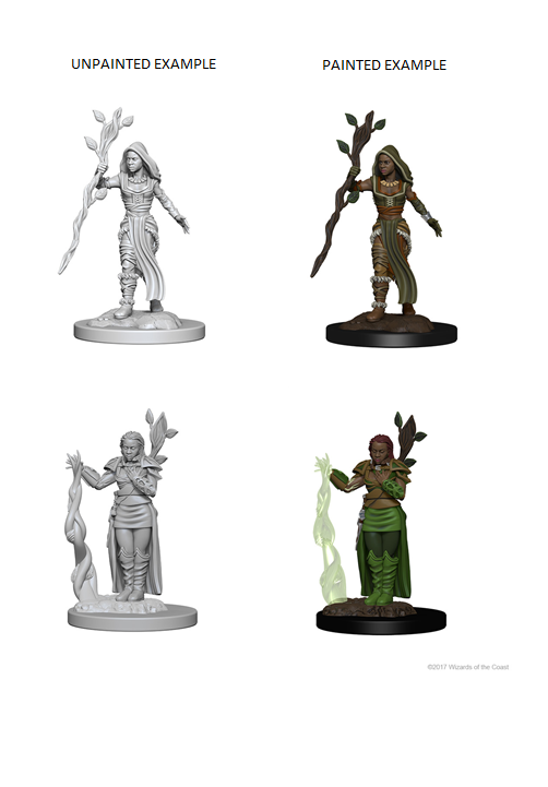 D&D Nolzurs Marvelous Unpainted Miniatures Human Female Druid-1