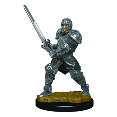 D&D Premium Painted Figures Male Human Fighter-1