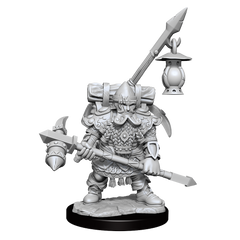 D&D Frameworks Dwarf Fighter Male-1