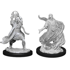 D&D Nolzurs Marvelous Unpainted Miniatures Male Elf Sorcerer-1