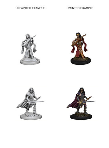 Pathfinder Deep Cuts Unpainted Miniatures Human Female Bard