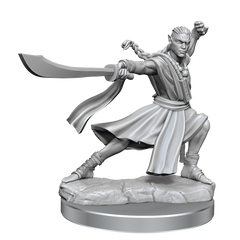 D&D Frameworks Elf Monk Male-1