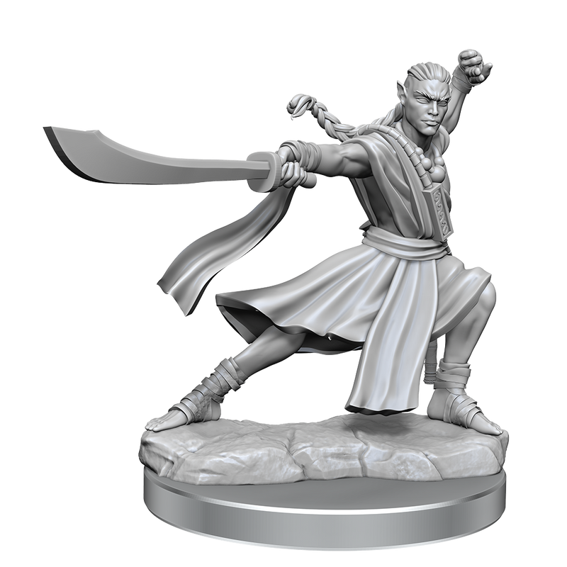D&D Frameworks Elf Monk Male-1
