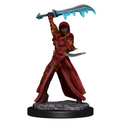 D&D Premium Painted Figures Human Rogue Female-1
