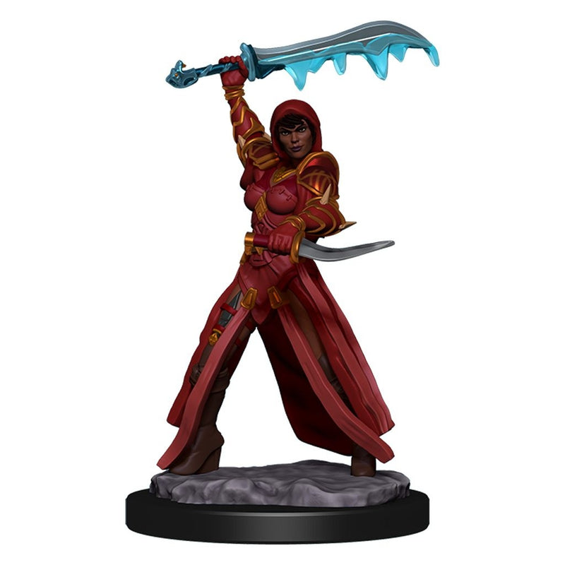 D&D Premium Painted Figures Human Rogue Female-1